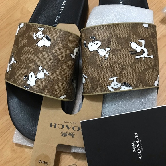 Coach X Peanuts Slide With Snoopy Print - Picture 10 of 10